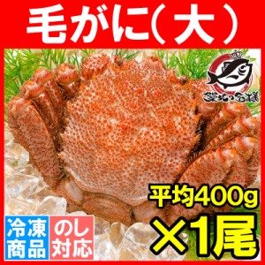 毛ガニ 毛蟹 浜茹で毛がに姿 平均400g前後×1尾 ボイル 冷凍 北海道産 最高級 堅蟹 【かに カニ 蟹 かに味噌 カニ味噌 カニ鍋】