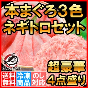 送料無料 本マグロ 本まぐろ 3色セット 大トロ 中トロ 赤身 各200g 超豪華 3色 合計600gセット＋王様のネギトロ 500g 【福袋 海鮮セット 