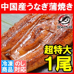 超特大！うなぎ蒲焼き 平均330g前後×1尾 中国産うなぎ タレ付き 一般的には手に入らない最大級のボリューム！柔らかうなぎを丁寧に焼き