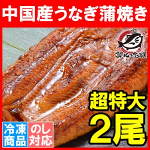 超特大！うなぎ蒲焼き 平均330g前後×2尾 中国産うなぎ タレ付き 一般的には手に入らない最大級のボリューム！柔らかうなぎを丁寧に焼き