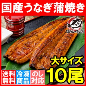 送料無料 国産うなぎ蒲焼き 大サイズ 平均165g前後×10尾 柔らかうなぎを丁寧に焼き上げた！まさに国産の最高級品質。【うなぎ ウナギ 鰻