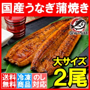 送料無料 国産うなぎ蒲焼き 大サイズ 平均165g前後×2尾 柔らかうなぎを丁寧に焼き上げた！まさに国産の最高級品質。【うなぎ ウナギ 鰻 