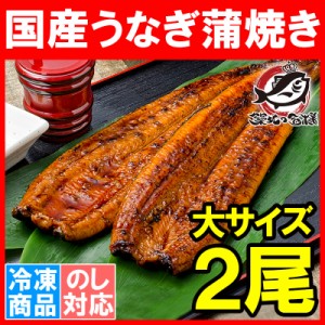 国産うなぎ蒲焼き 大サイズ 平均165g前後×2尾 柔らかうなぎを丁寧に焼き上げた！まさに国産の最高級品質。【うなぎ ウナギ 鰻 うな丼 う