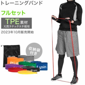 ライシン トレーニングチューブ 強度別 フルセット 収納袋付き ゴム バンド 筋トレ チューブ エクササイズ