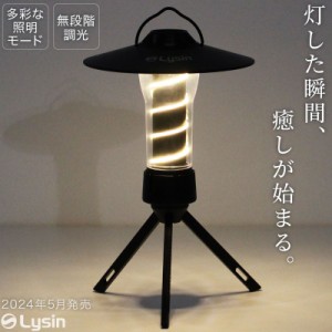 ライシン LED ランタン ミニ USB 充電式 フルセット 防水規格 IPX5 1個