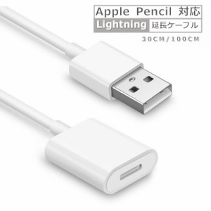 Apple Pencil 充電ケーブル ライトニング ケーブル 延長ケーブル 急速充電  多デバイス対応 アップル ペンシル Lightning 8pin 送料無料
