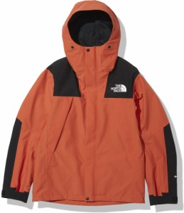 THE NORTH FACE ノースフェイス アウトドア マウンテンジャケット メンズ Mountain Jacket 防風 防水 透湿