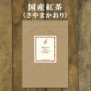 国産紅茶 さやまかおり 45 ティーバッグ 送料無料 | 農薬検査済 狭山茶 紅茶 ブラックティー ティー ティーパック ヴィーナース