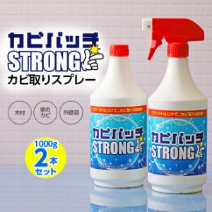 カビ カビ取り 液スプレー カビパッチ 1000g 2本 部屋の壁 壁紙 クロス ベランダ 縁側 押し入れ 外壁 土壁 窓パッキン お風呂 浴槽 排水