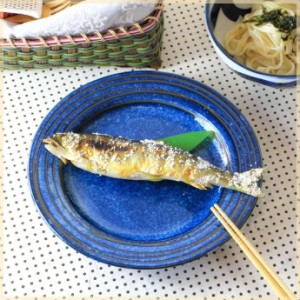 雲海 9寸大皿 日本製 美濃焼 マルチプレート パスタ皿 メインディッシュ 和食が似合う 和食器