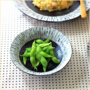 黒潮 5寸浅鉢 日本製 美濃焼 和小鉢 おつまみ鉢 煮物鉢 中鉢 刺し身皿 和食 和食器