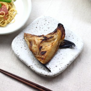 岩和 割烹料理のよく似合う正角皿 19cm 日本製 美濃焼 大皿 中皿 和皿 平皿 プレート フラット ステーキ おつまみ 刺し身皿 ワンプレート