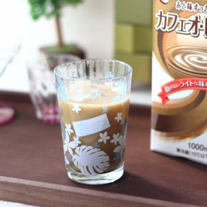 ホヌ タンブラー 200ml ガラス ガラス製 カップ コップ 冷茶 国産 アイスコーヒー 麦茶 ロックグラス 冷酒グラス ロックカップ タンブラ