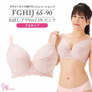 ブラジャー 大きいサイズ インナー 女性 下着 お試しブラVer2.5N ピンク フルカップ（SP-494）