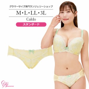 ブラジャー 大きいサイズ インナー 女性 下着 カルドショーツ（SP-532）