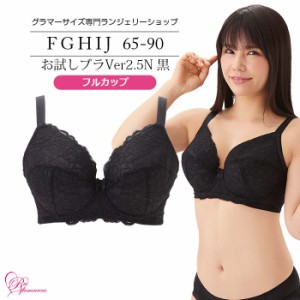 ブラジャー 大きいサイズ インナー 女性 下着 お試しブラVer2.5N 黒 フルカップ（SP-494）