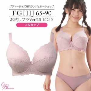 ブラジャー 大きいサイズ インナー 女性 下着 お試しブラVer2.5ピンク　フルカップ（SP-206）