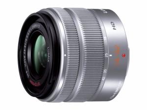 Panasonic(パナソニック)　デジタル一眼カメラ用　交換レンズ(標準ズームレンズ：シルバー)　H-FS1442A-S