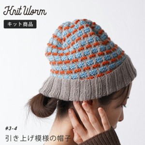手編み キット 毛糸 ニットワーム 引き上げ模様の帽子 メリノM 編み物 キット 日本製 編み物キット 手編みキット ウール かぎ針 棒針 手