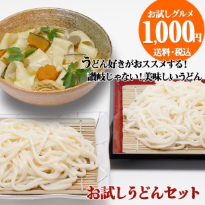 半生ひもかわうどん 波打ちうどん(200g) 桐生うどん(130g)セット 【つゆ4袋】【 送料無料 】 うどん ひもかわ お試し 1000円ポッキリ