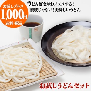 桐生うどん（130g）2袋 ＋ ひもかわうどん（並麺）2袋セット 【つゆ4袋】【 送料無料 】　うどん ひもかわ お試し 1000円ポッキリ