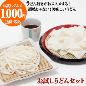 ひもかわうどん 帯麺 170g×2袋　桐生うどん130g×2袋 セット 【つゆ4袋】 お試し 1000円ポッキリ kot-p1