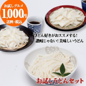 ひもかわうどん (帯麺・並麺)　波打ちうどん(200g)桐生うどん(130g)　【 送料無料 】 お試し 1000円ポッキリ