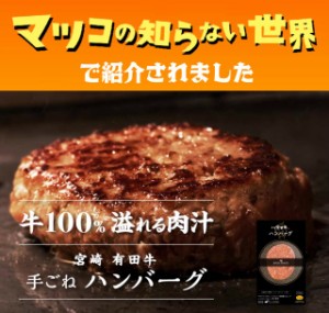 黒毛和牛 宮崎有田牛(黒毛和牛)手ごね生ハンバーグ １５０ｇ×5個セット）送料無料(北海道・沖縄は除く） プレミアム 牛肉 ハンバーグ ギ