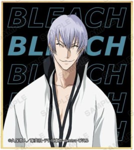 BLEACH ブリーチ トレーディングミニ色紙 市丸ギン