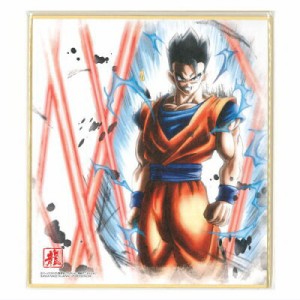 ドラゴンボール DRAGON BALL 色紙ART10 孫悟飯 単品 色紙