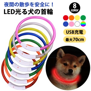 首輪 犬 光る ライト おしゃれ 小型犬 中型犬 大型犬 LED 軽量 軽い 充電式 レインボー