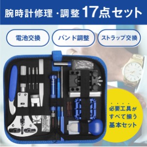 時計工具セット 腕時計 本格仕様 修理工具 時計工具 セット メンテナンス工具17種セット ベルト交換 調整 電池交換 時計のメンテナンスに