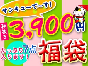 結婚祝い 特価 和食器 福袋 アウトレット 食器 マグカップ 箸 箸置き お皿 小鉢 中鉢 茶碗 お茶碗 湯呑み ゆのみ 湯のみ 食器セット おし