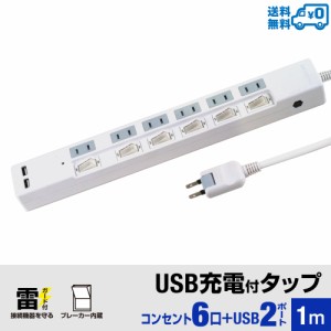 【送料無料】STYLED USB充電付電源タップ コンセント×6口 USB×2ポート 合計3.4A 電源コード1m 18ヵ月保証 雷ガード ブレーカー 個別ス