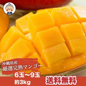 沖縄産 完熟マンゴー 3kg 6-9玉 送料無料【予約受付中】リピーター続出の甘さ お中元などご贈答用としてもご利用頂けます。 ｜マンゴー 