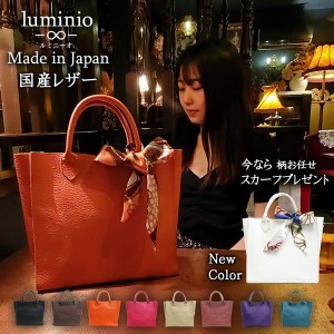 luminio ルミニーオ バッグ レザー 本革 返品不可商品 ハンドバッグ レディース スカーフ スクエア シンプル おしゃれ 大人可愛い カラバ