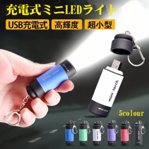 懐中電灯 ミニ懐中電灯【2個目-300円GET】USB充電式ライト 防災 小型 ミニ 軽量 キーホルダー ポケットライト 高輝度LED 持ち運び アウト