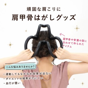 【売り切れ次第終了】【送料込み: ストレッチハーツ 解説DVD・冊子つき ※沖縄・離島配送不可】 保阪尚希 健康 ストレッチ マッサージ
