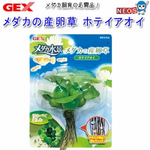 GEX　メダカの産卵草　ホテイアオイ