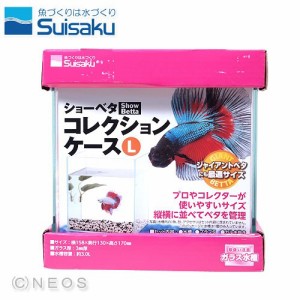 水作　ショーベタ　コレクションケース　L 【新着】 【水槽/熱帯魚/観賞魚/飼育】【生体】【通販/販売】【アクアリウム/あくありうむ】 