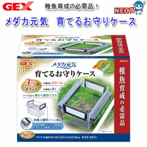 GEX　メダカ元気　育てるお守りケース