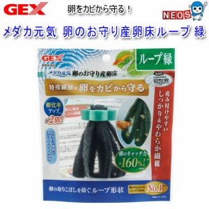 GEX　メダカ元気　卵のお守り産卵床ループ　緑