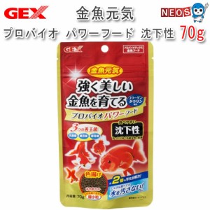 GEX　金魚元気 プロバイオパワーフード 沈下性 70g 　色揚げ（金魚フード）【餌 えさ エサ】【観賞魚　餌やり】【水槽/熱帯魚/観賞魚/飼