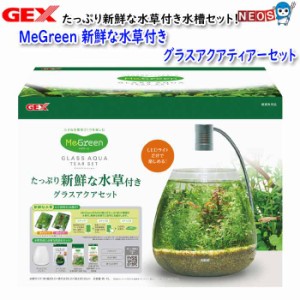 GEX　MeGreen 新鮮な水草付き グラスアクアティアーセット