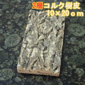 コルク樹皮　２層構造　１０×20cm　厚１.５-２cm前後　【10枚】