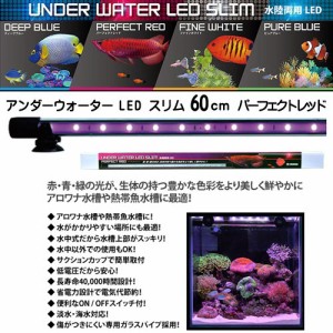 ゼンスイ　アンダーウォーターLED スリム 60cm パーフェクトレッド（PR）【取寄商品】  【水槽/熱帯魚/観賞魚/飼育】【生体】【通販/販売