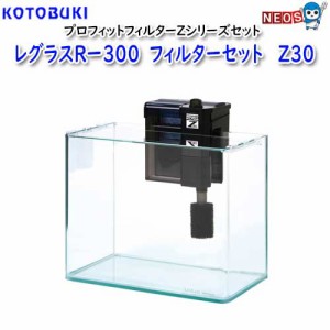 コトブキ　レグラスRー３００　フィルターセット　 Z３０