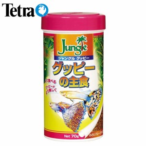 テトラ　ジャングル　グッピー　グッピーの主食　70g