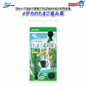 ニッソー　ＮＡＰ−５９０メダカのたまご産み草