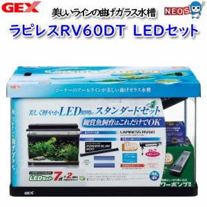 GEX　ラピレスＲＶ60ＤＴ　ＬＥＤセット